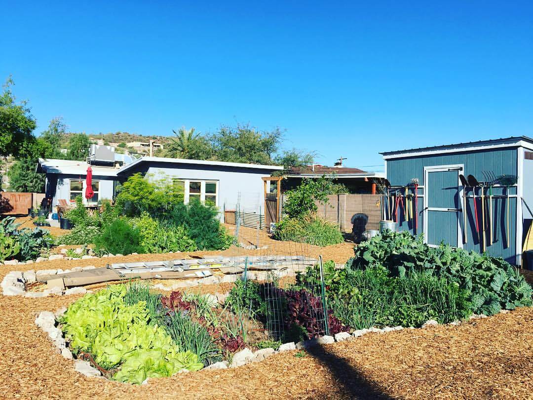 5 Great Vegetables to plant in Your Zone 9b Garden