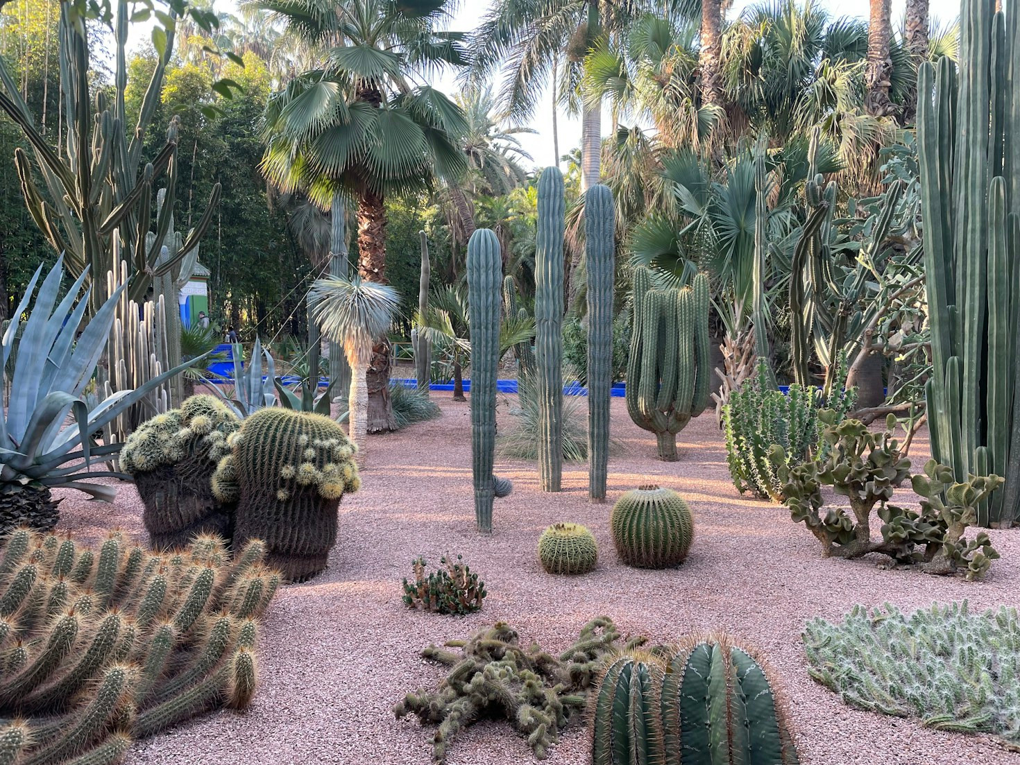 Understanding Soil for Desert Gardens